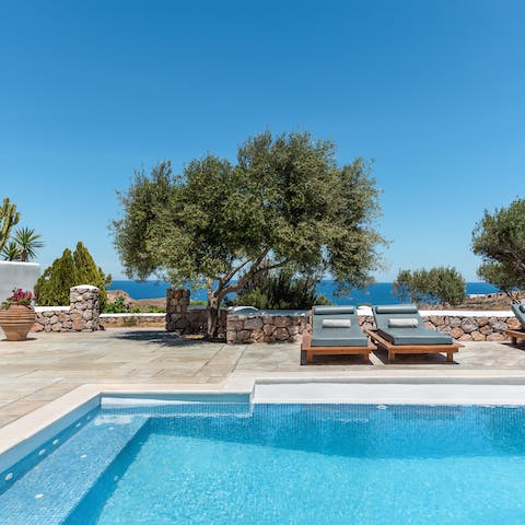 Take a dip in the pool before picking out a lounger to dry off on