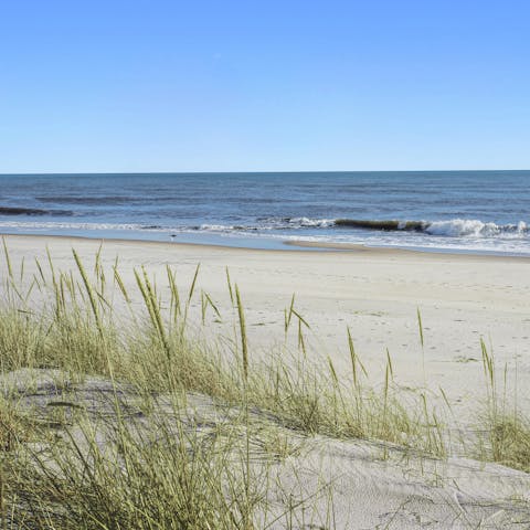 Pack a picnic and explore the best beaches in the Hamptons