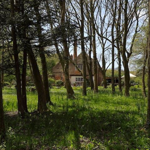 Explore the glorious New Forest on your doorstep