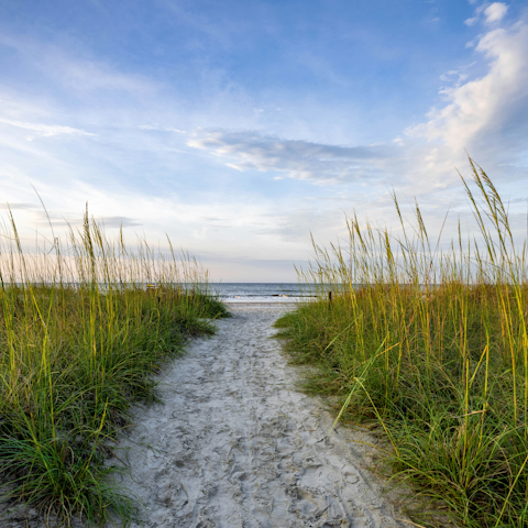 Begin your stay in Forest Beach with an oceanfront stroll