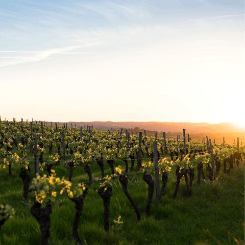 Stay on a 210-acre wine estate in the Minho hills