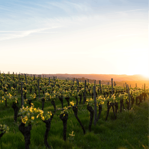 Stay on a 210-acre wine estate in the Minho hills