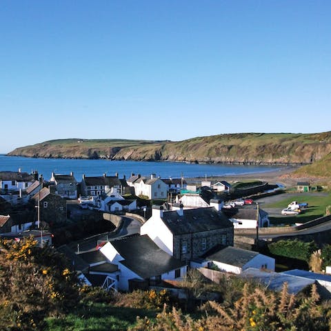 Leave Welsh village life behind and catch a boat to Bardsey Island for the afternoon