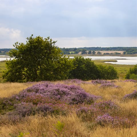 Explore the surrounding marshes and heaths of the Suffolk countryside on foot or bike