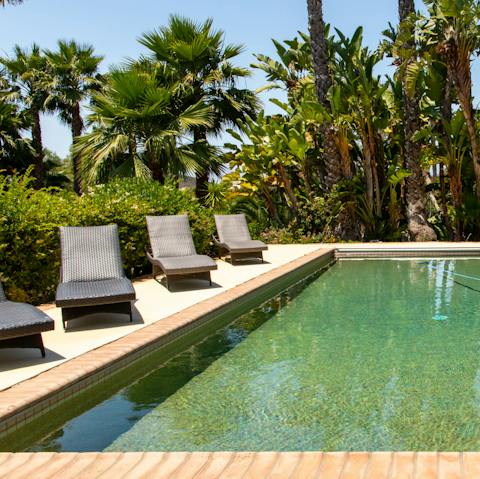 Take a dip in the swimming pool