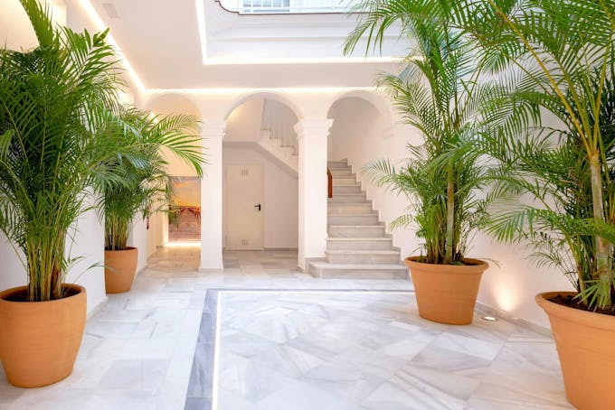 Palms and Tranquility