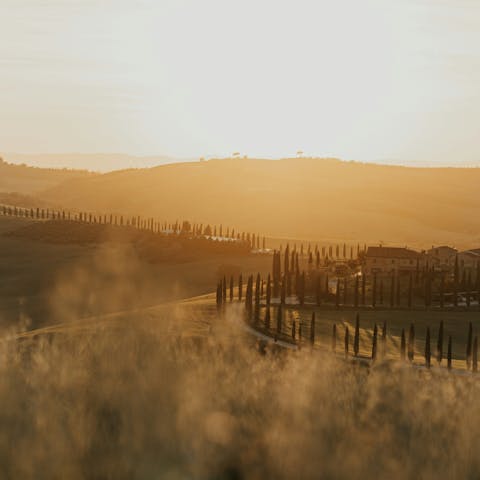 Fall in love with the timeless beauty of Tuscany
