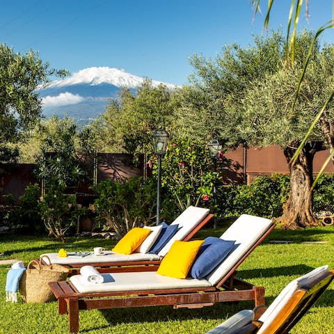 Soak up the sun in the landscaped garden