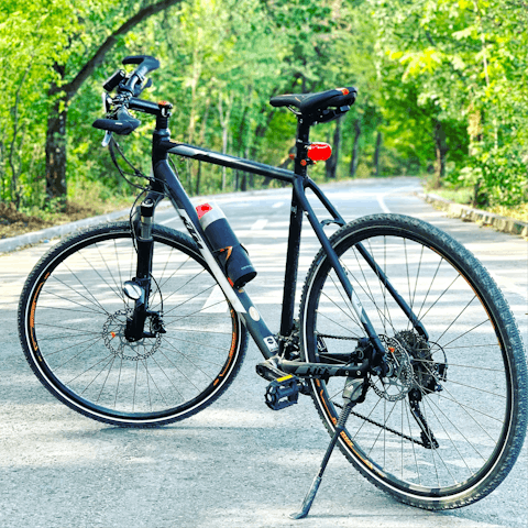 Feel free to borrow the host's folding bikes for cycling around the city