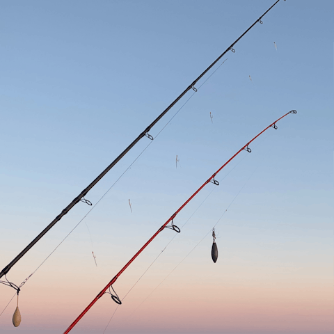 Try catching some fish in the Union Canal, then grilling them up for dinner on the barbecue