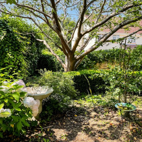 Take your favourite afternoon drinks into the garden