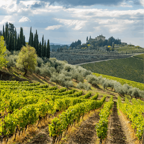 Drive just fifteen minutes to beautiful Radda in Chianti