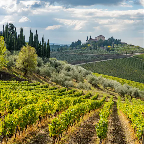Drive just fifteen minutes to beautiful Radda in Chianti