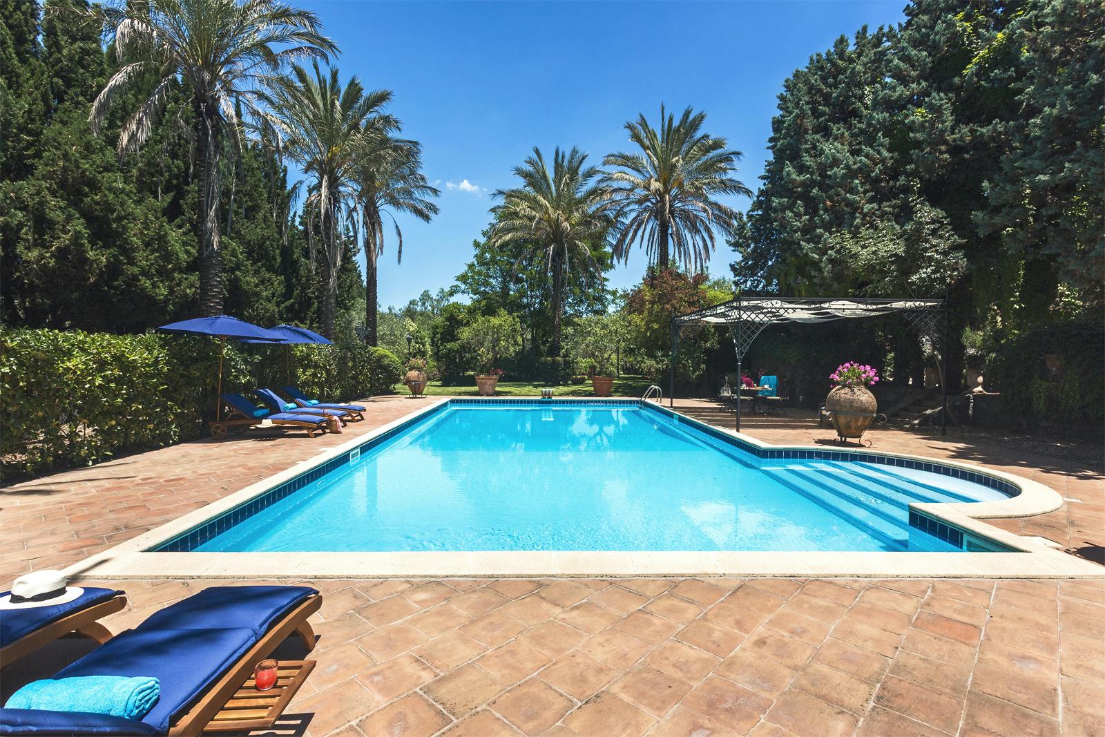 Palms, Pools & Poker