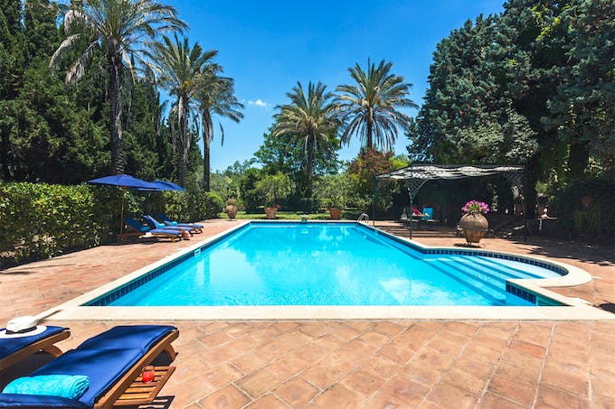 Palms, Pools & Poker