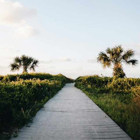 Base yourself in Hilton Head’s Shelter Cove