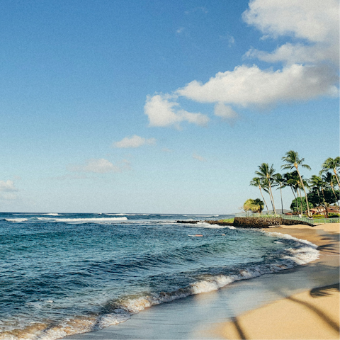 Explore the beautiful beaches of Kauai’s south shore