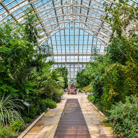 Visit the lush Royal Botanic Gardens, Kew is a short drive away