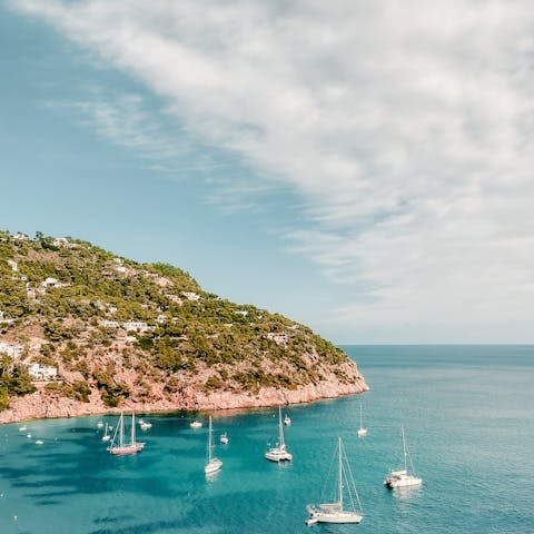 Enjoy a yacht tour along the coast organised by your host