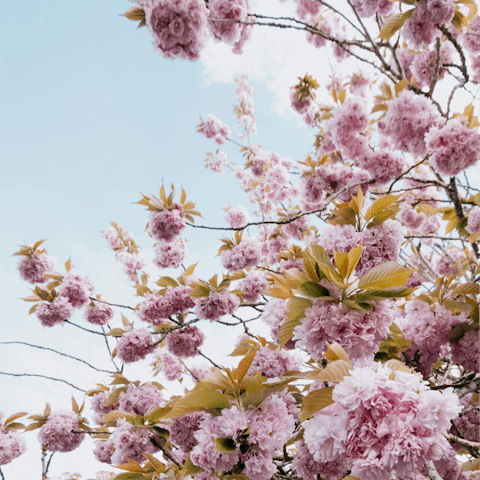 Experience the beauty of the English countryside from Frome