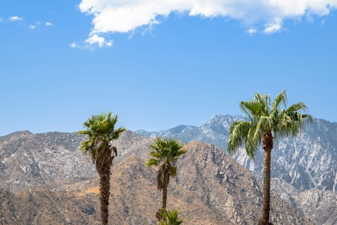 Hike Mount San Jacinto's dramatic granite peaks rising above the San Bernardino forests, a thirty-minute drive