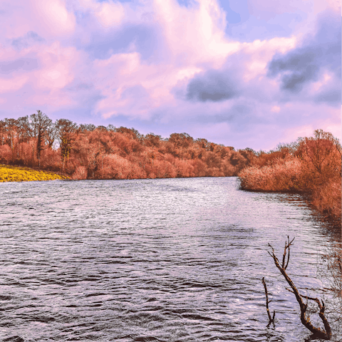 Hike around the lake with your four-legged friend