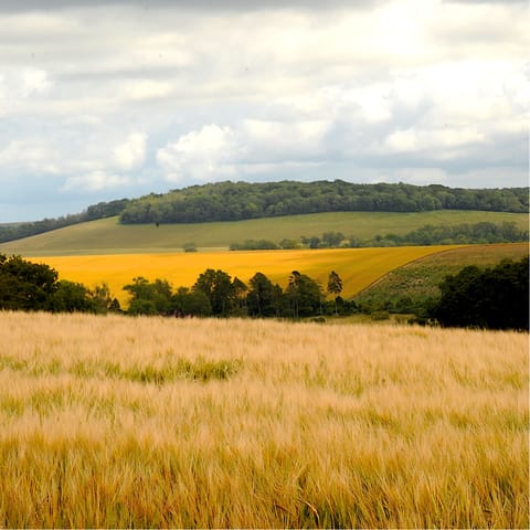 Follow the footpath from directly outside to the South Downs National Park