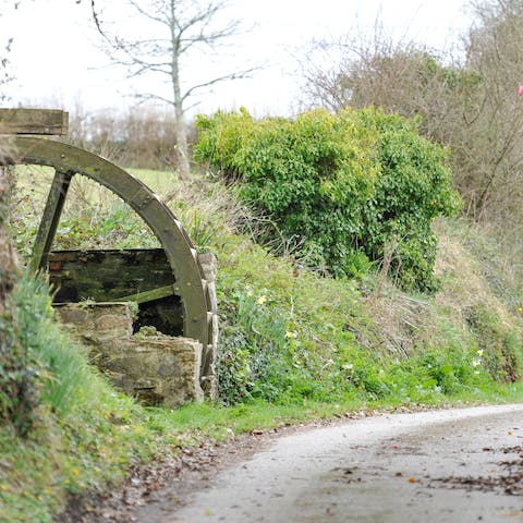 Explore the beautiful Cornish countryside with walks on your doorstep