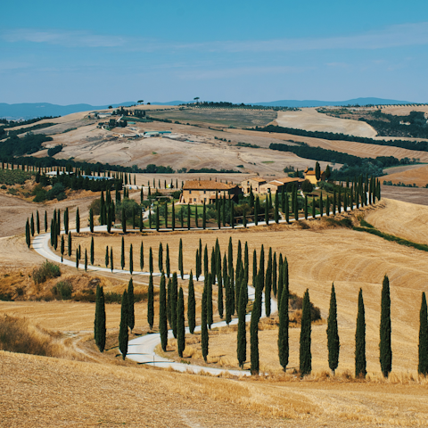 Discover the beautiful landscape of the Val d'Orcia