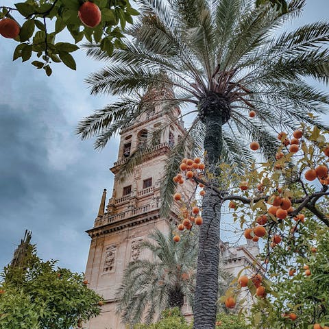 Stay in Cordoba, just five minutes from downtown