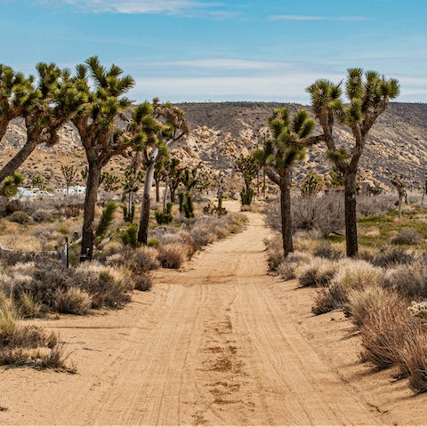 Explore Joshua Tree National Park, an eight-minute drive away