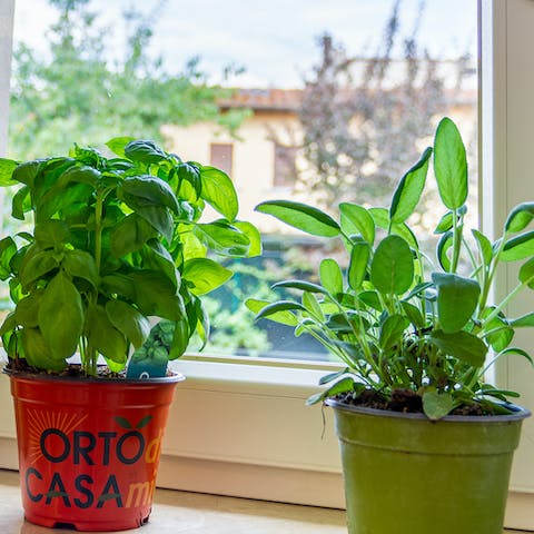 Cook some delicious Italian dishes using fresh herbs