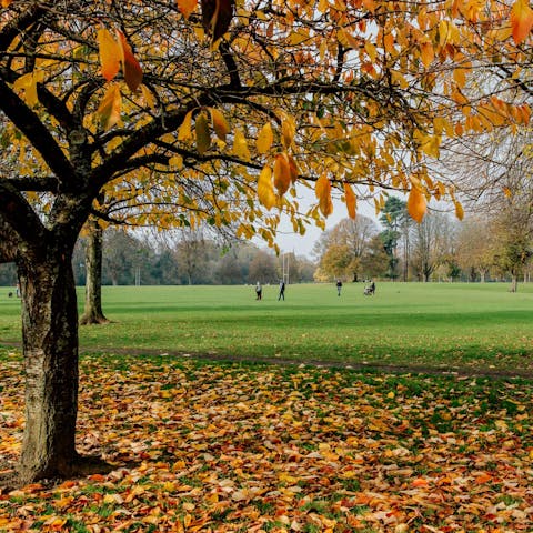 Go for an afternoon stroll around Sophia Gardens