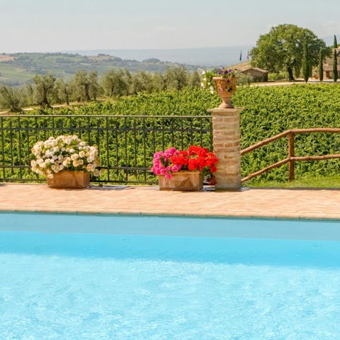 Splash into the pool and admire the vineyard views