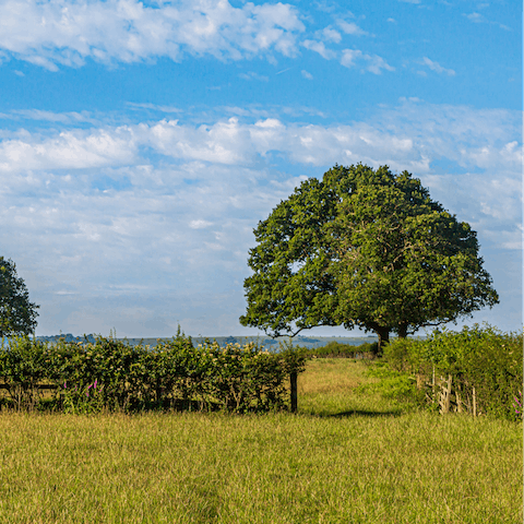 Take a walk in the great outdoors