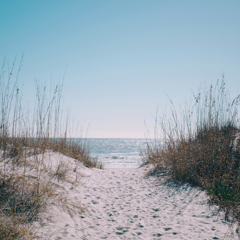 Reach Wild Dunes Beach in just one-minute by foot