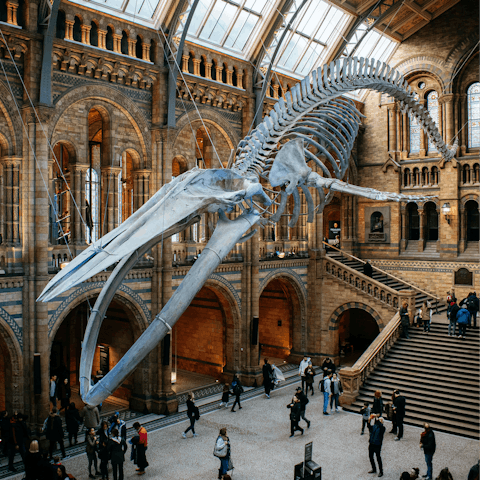 Take a ten-minute stroll to the Natural History Museum