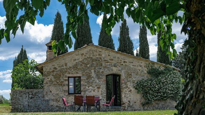 Tuscan Cypresses