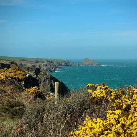 Stroll along the Pembrokshire Coastal Path, a thirty-seven minute drive away
