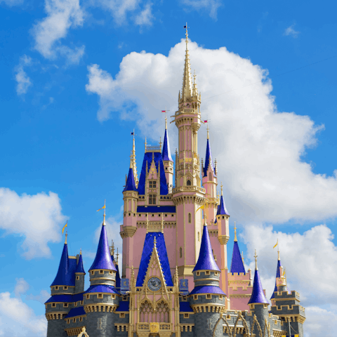 Celebrate the magic of life in Florida with a trip to Disney