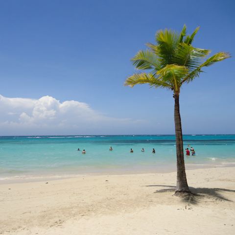 Feel your troubles float away in the clear waters of the Caribbean Sea