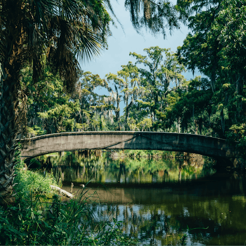 Take a picnic to City Park, twenty minutes away by public transport