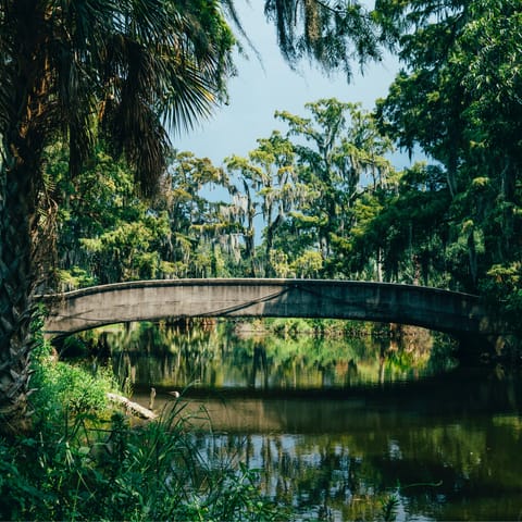 Take a picnic to City Park, twenty minutes away by public transport