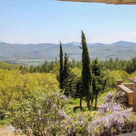 Appreciate Tuscany's rolling hills