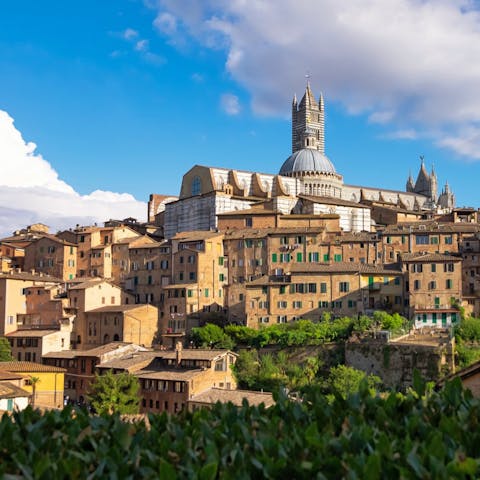 Drive to Siena to take in the sights