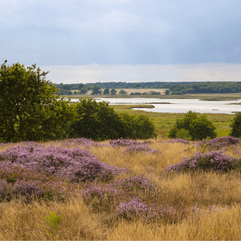 Pack a picnic and explore the Suffolk Heaths – Sutton Hoo is a ten-minute drive away