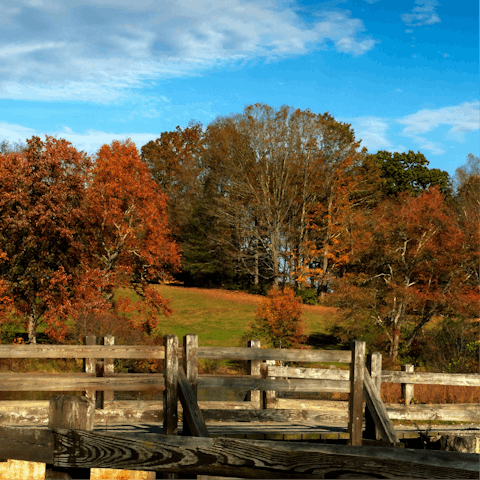 Explore Southford Falls State Park – within driving distance