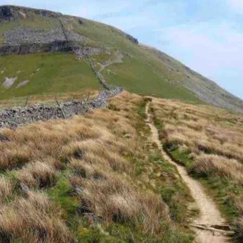 Don your hiking boots for an adventure into the Ingleborough Estate Nature Trail – pathways lead directly from your door