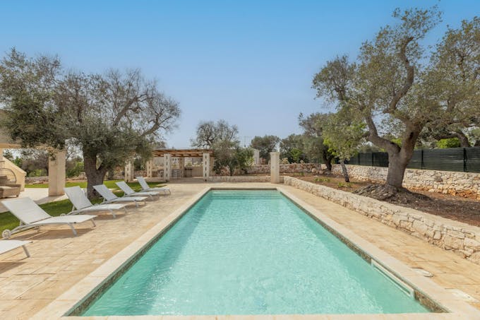 Olive Tree View