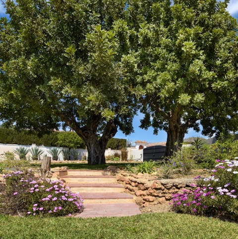 Explore the 2.5 acres of stunning gardens, flecked with cacti and flower beds